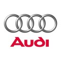 Chiptuning files Audi