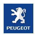 Tuning files Peugeot